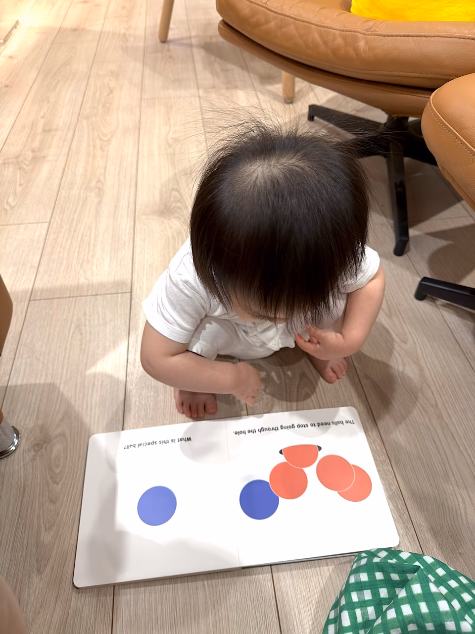集中して読み聞かせに夢中 — すべての点と色に意味がある